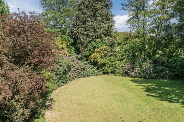 Photo 65 of Westersebos 1