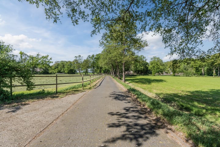 Photo 71 of Westersebos 1