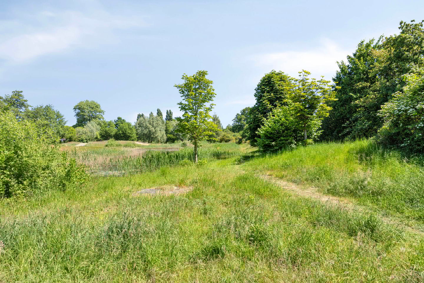 Photo 35 of Goudenregenstraat 38