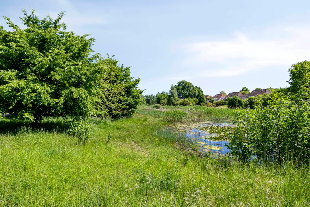 Photo 37 of Goudenregenstraat 38