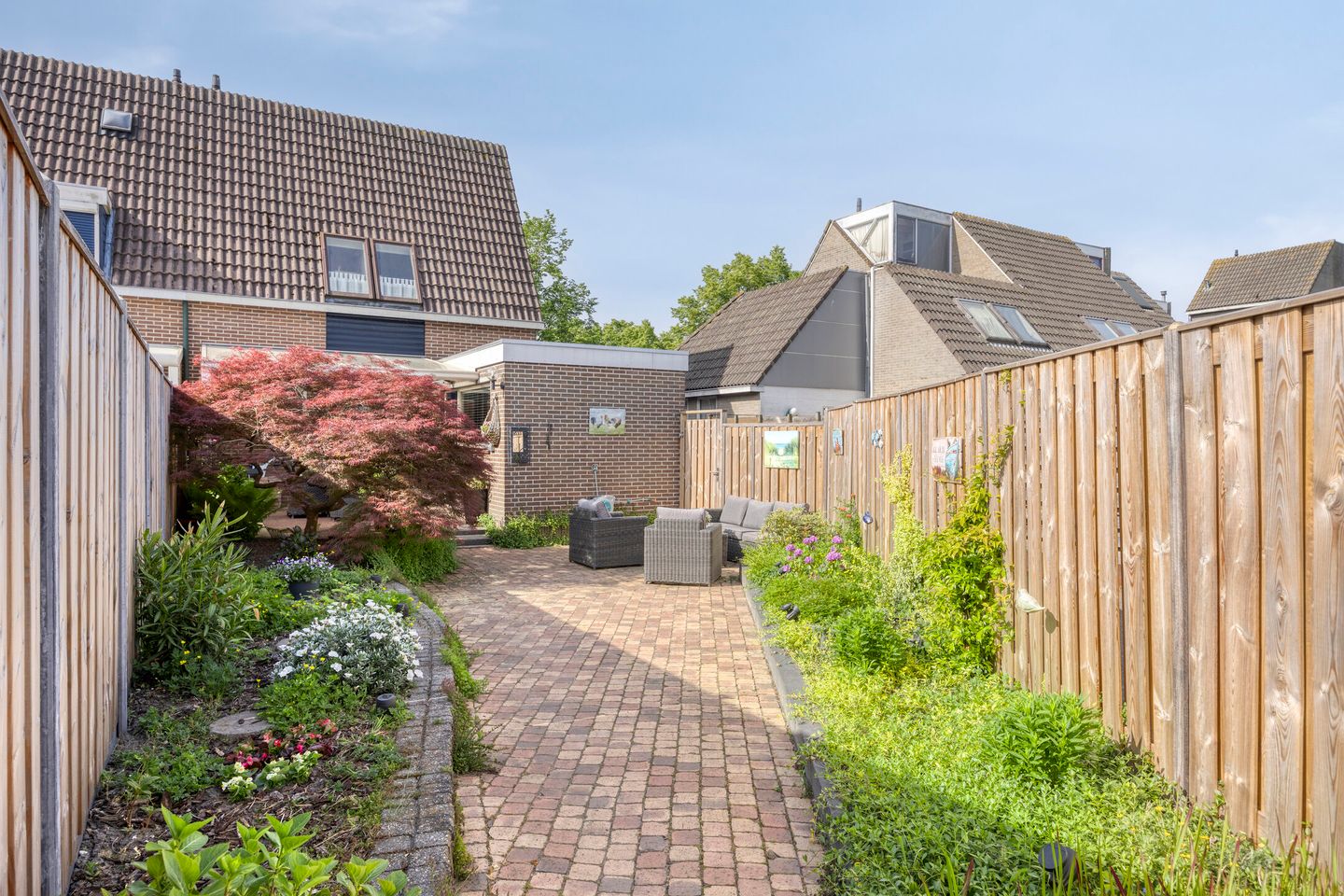 Foto 5 van Silene 19