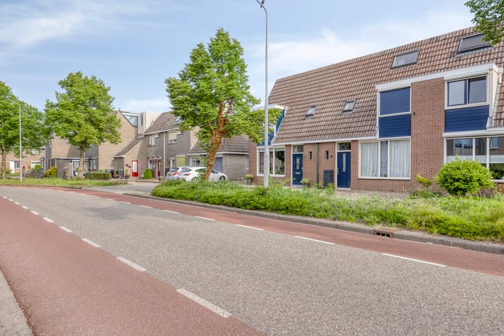 Foto 8 van Silene 19