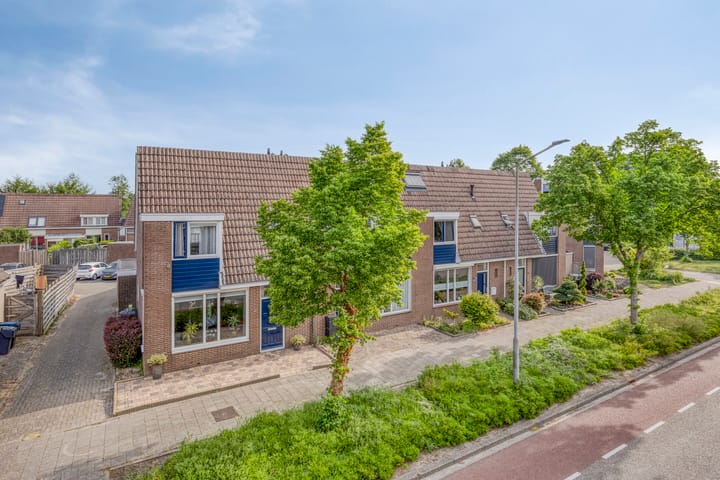 Foto 10 van Silene 19