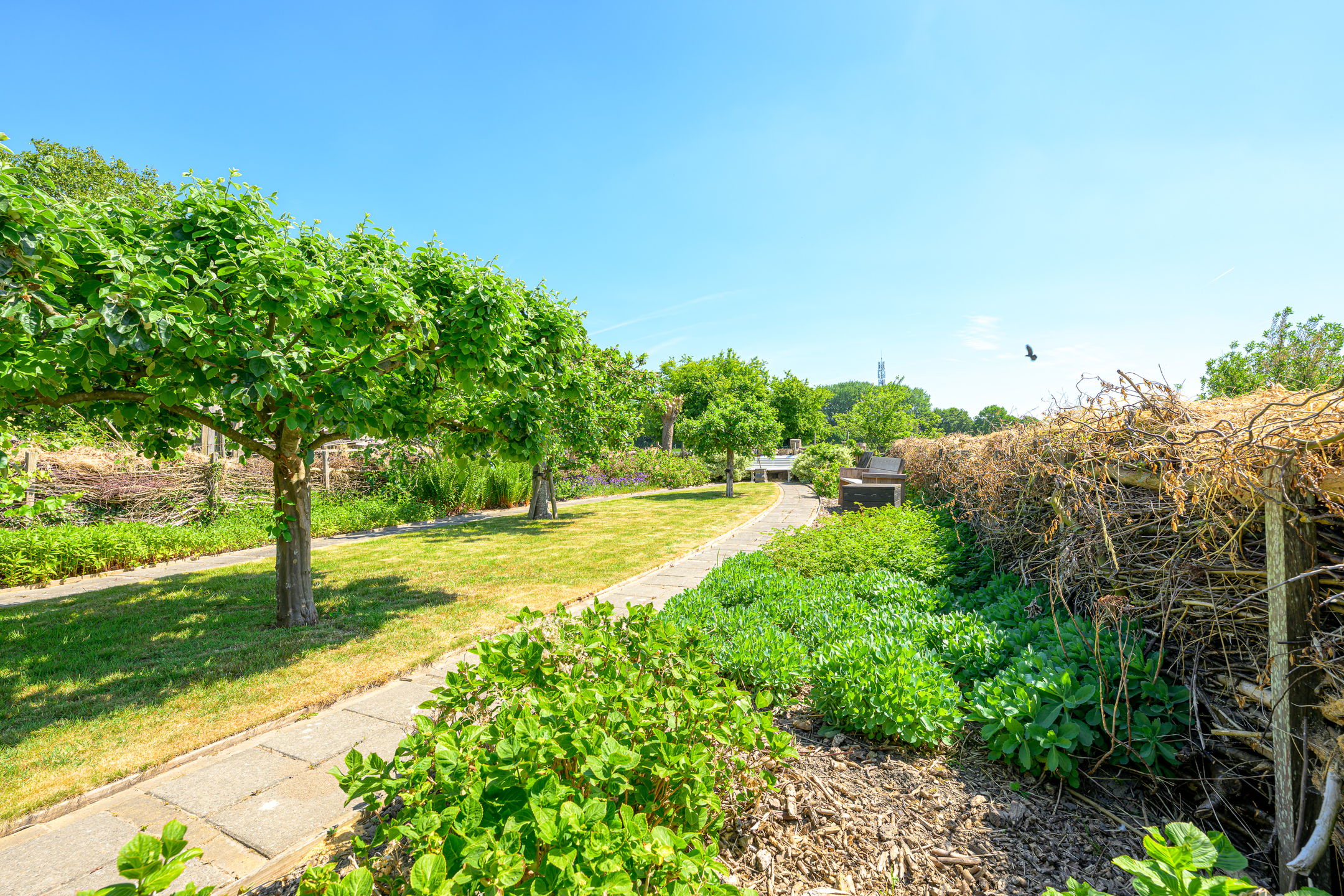 Foto 30 van Dorpsstraat 31