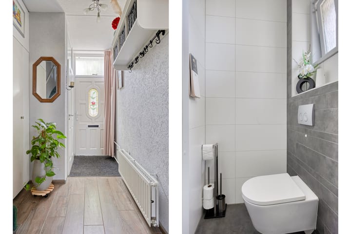 Foto 12 van Silene 19