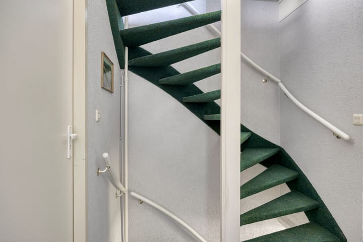 Foto 20 van Silene 19