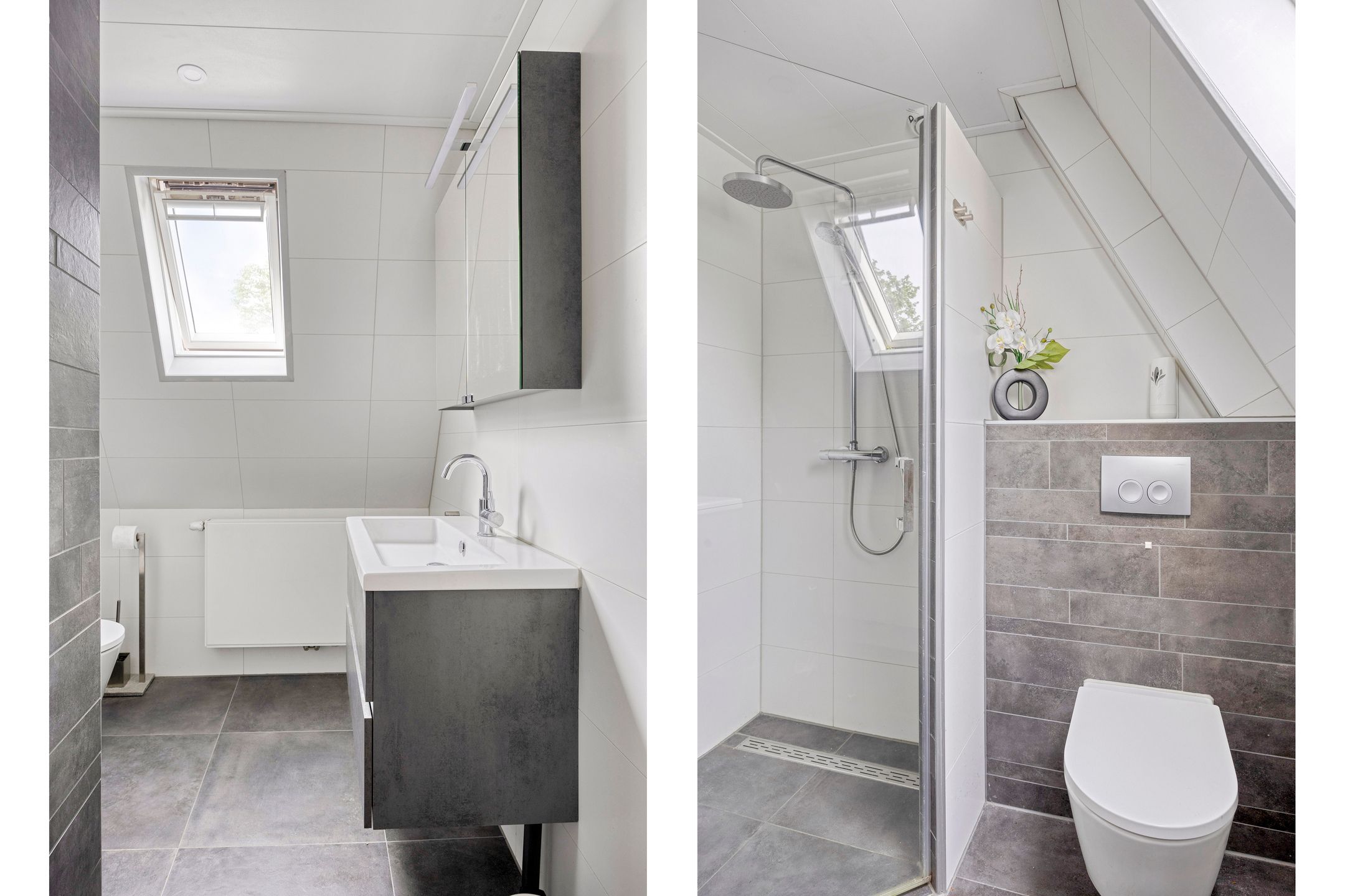 Foto 24 van Silene 19