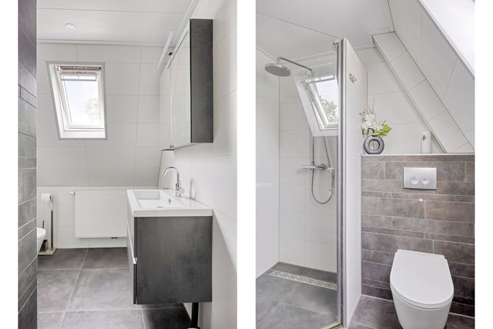 Foto 24 van Silene 19