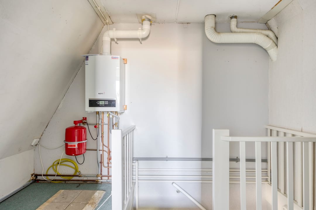 Foto 26 van Silene 19