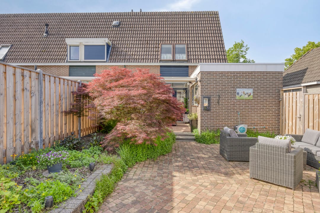 Foto 31 van Silene 19