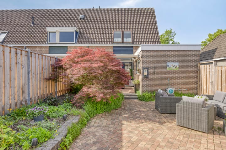 Foto 31 van Silene 19