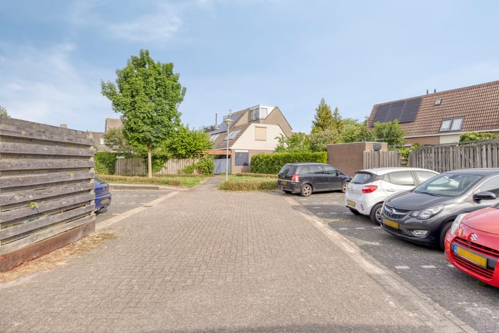 Foto 33 van Silene 19