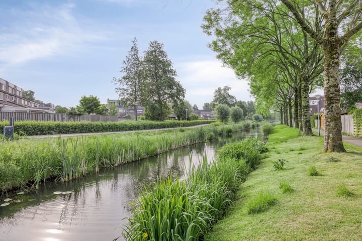 Foto 34 van Silene 19