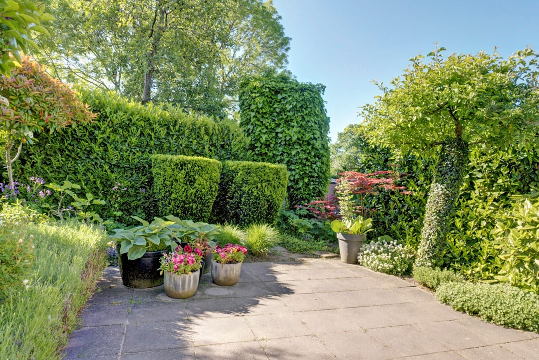 Foto 8 van Rijnstraat 16