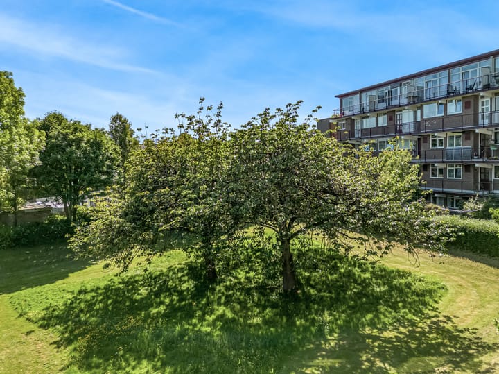 Foto 32 van Vechtplantsoen 22-1