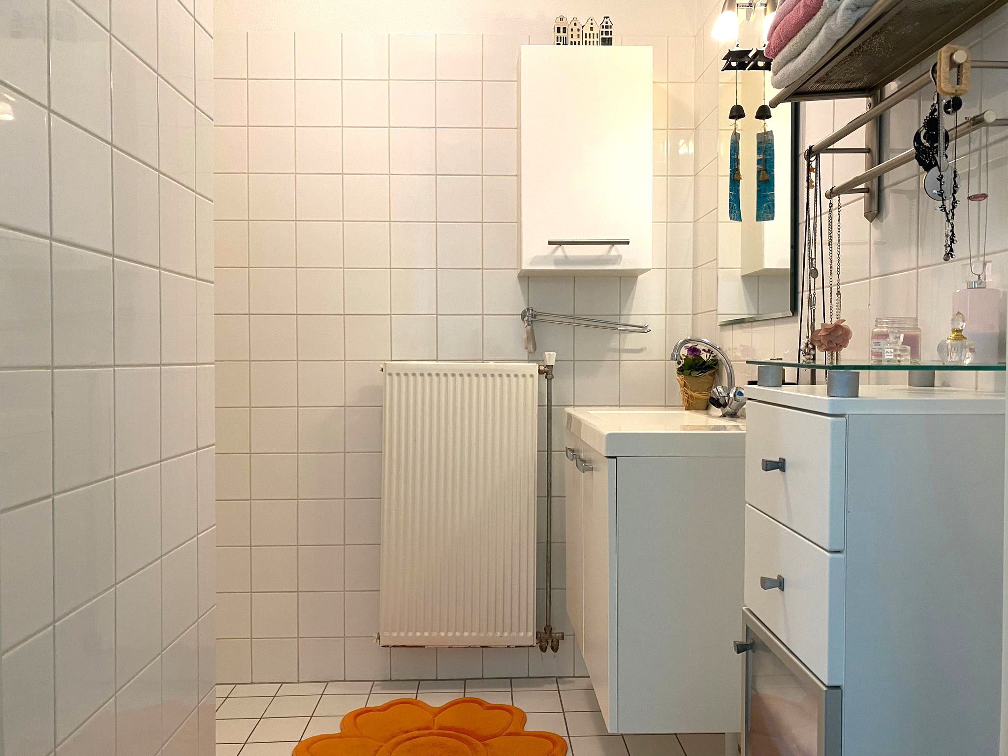 Foto 12 van Biesheuvelstraat 163