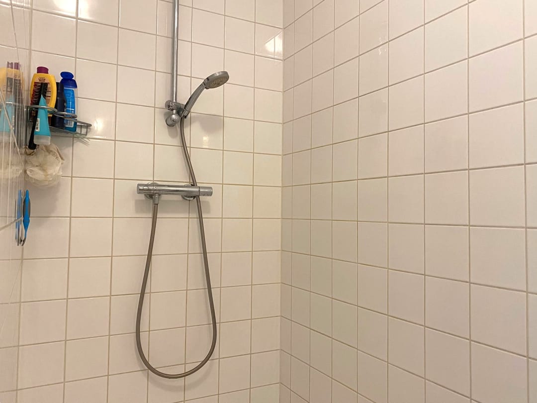 Foto 13 van Biesheuvelstraat 163