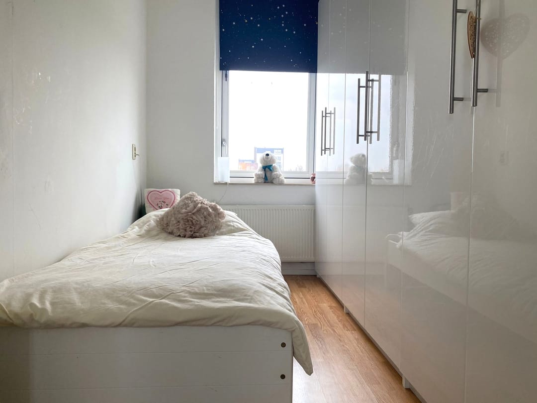 Foto 16 van Biesheuvelstraat 163