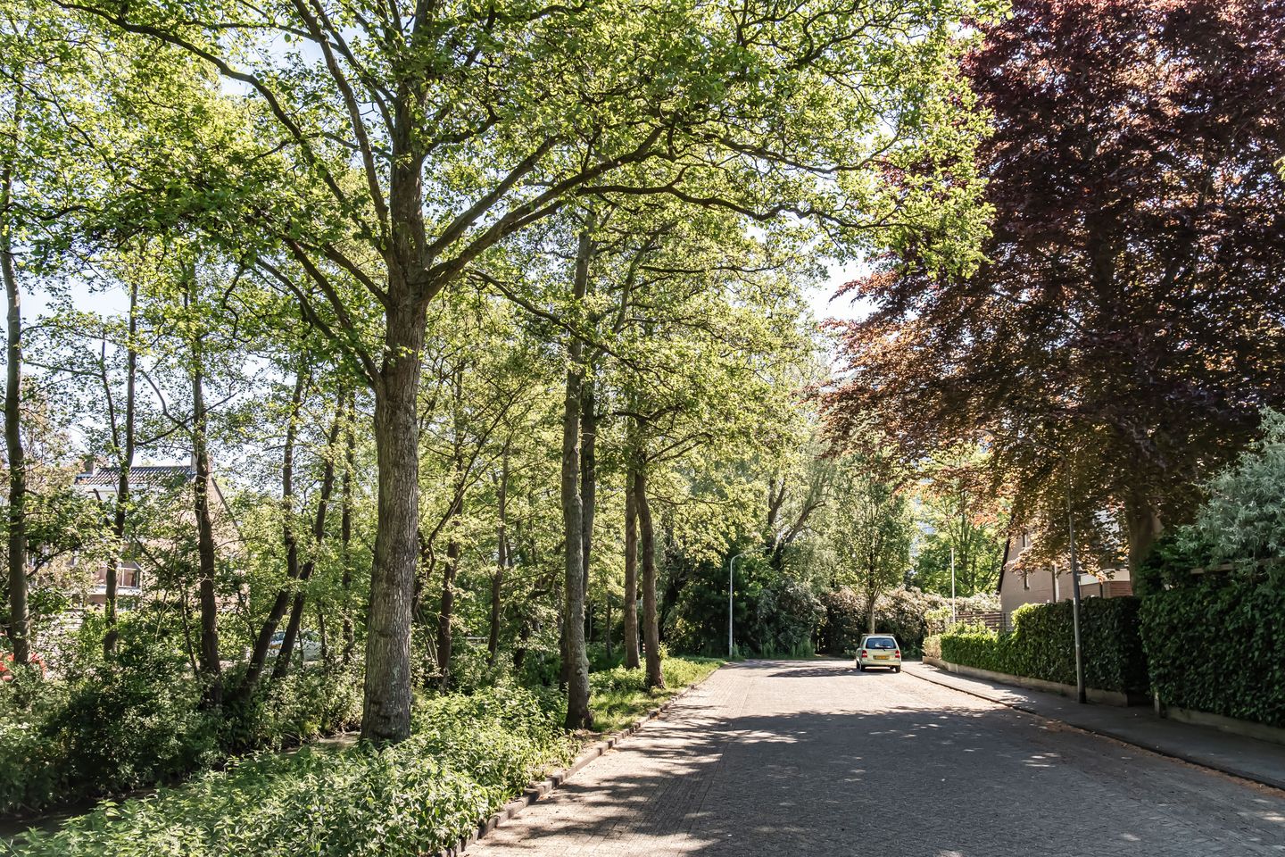 Foto 40 van Van Kempenhof 68