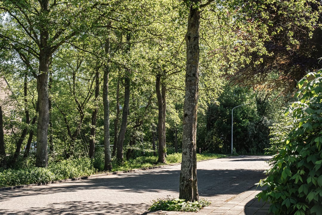 Foto 41 van Van Kempenhof 68