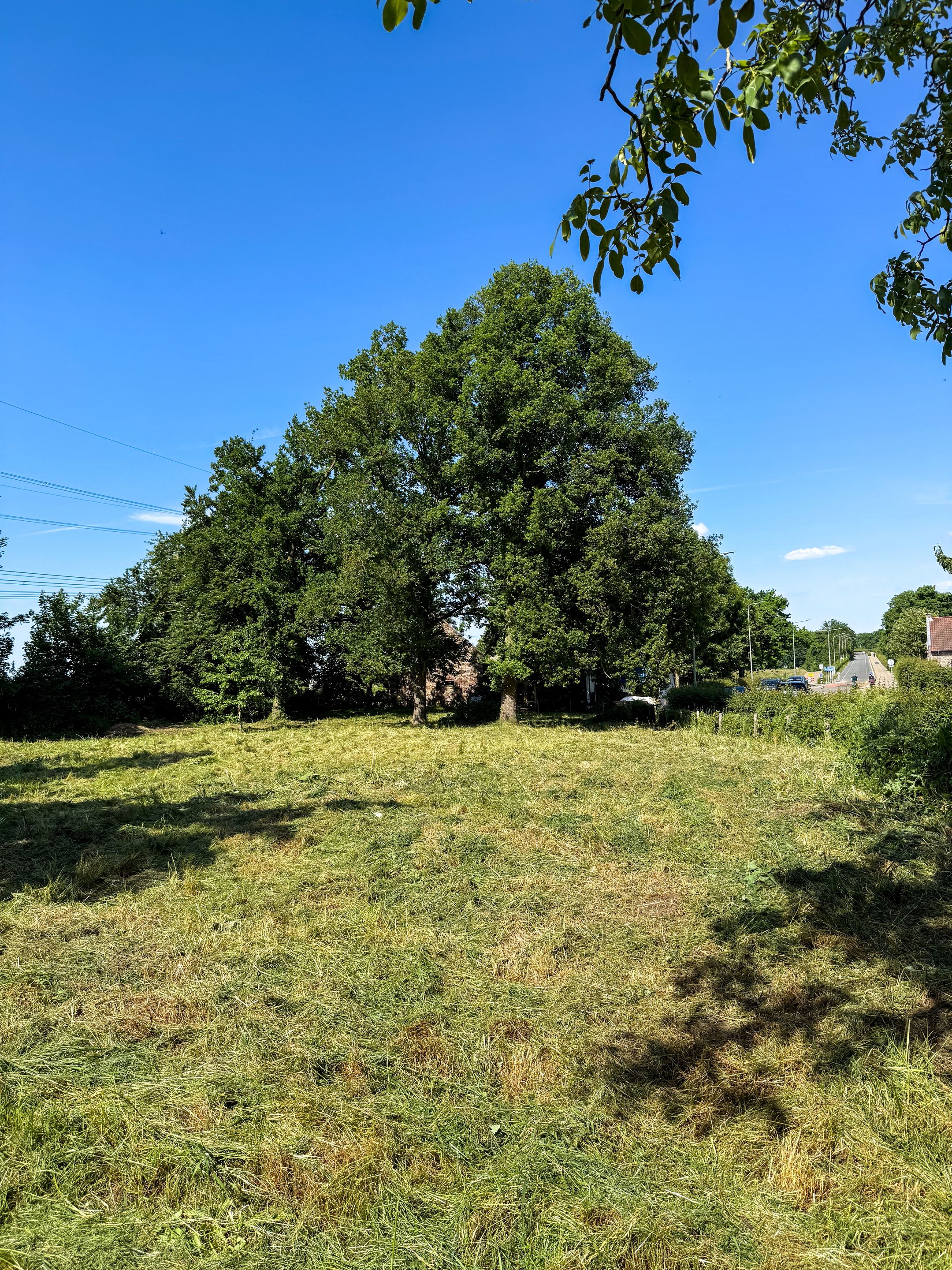 Foto 12 van Aasterbergerweg