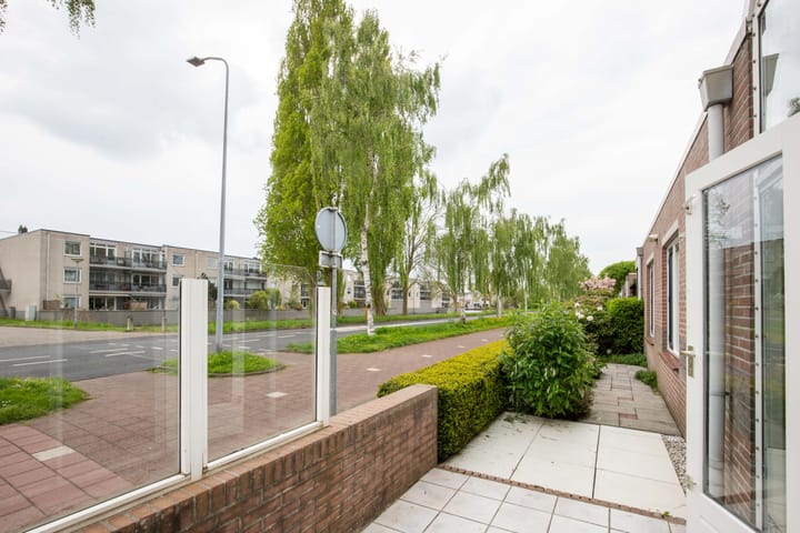 Foto 29 van Staartmees 1