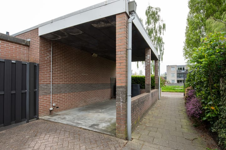 Foto 32 van Staartmees 1