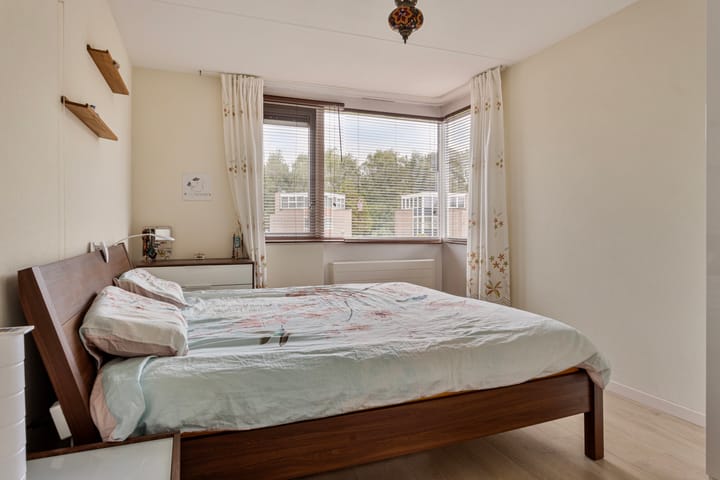 Foto 22 van Wildeman 41