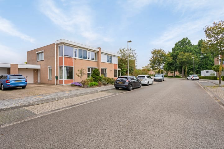 Foto 38 van Wildeman 41