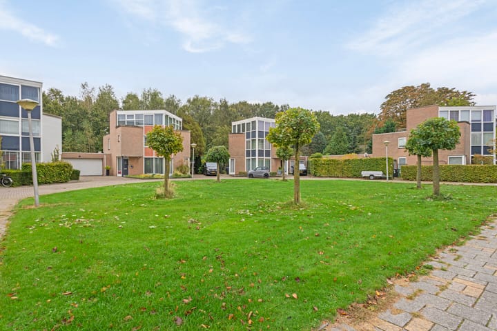 Foto 40 van Wildeman 41