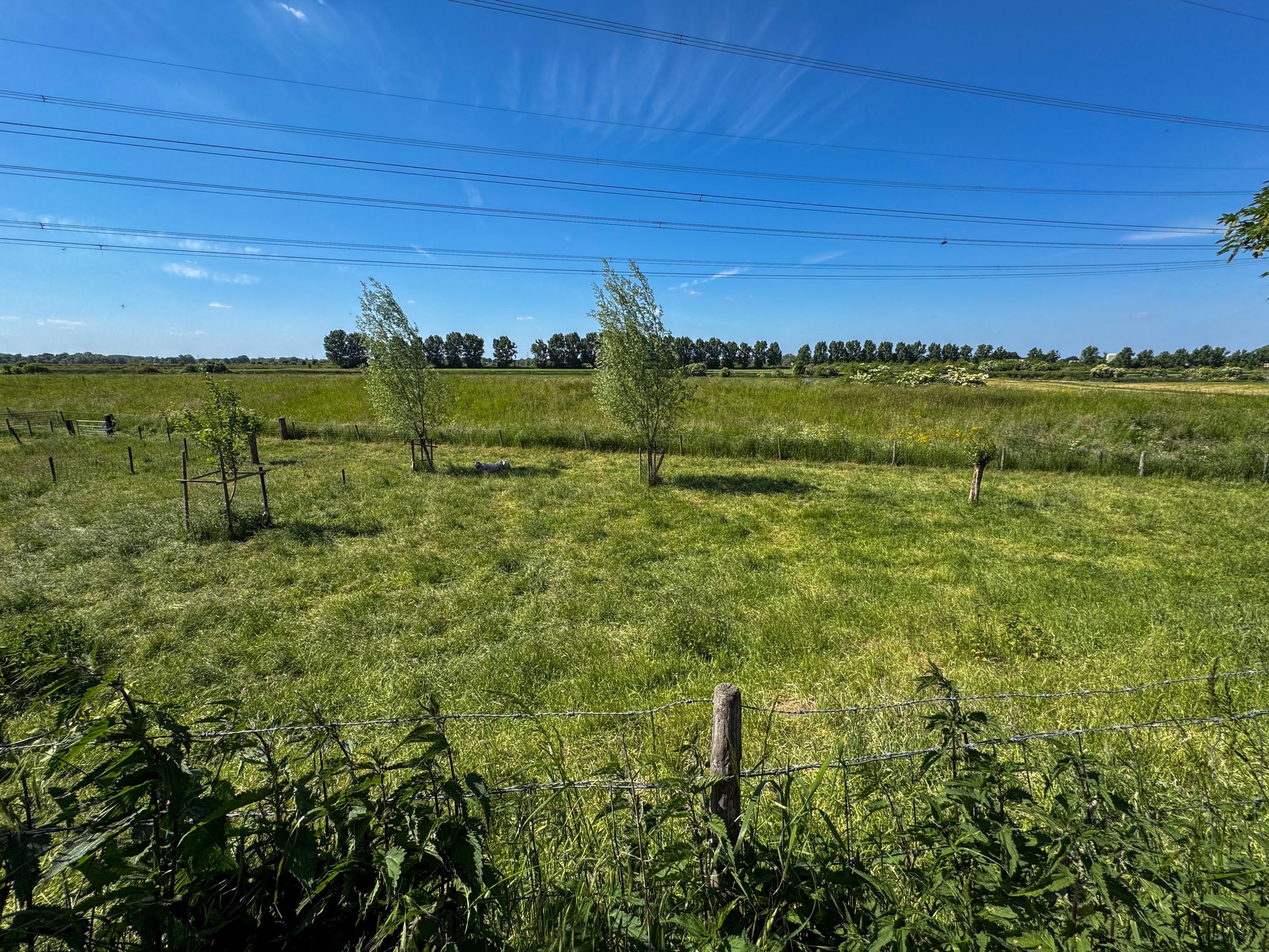 Aasterbergerweg  false