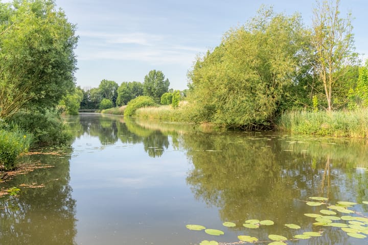 Foto 35 van Seychellen 44