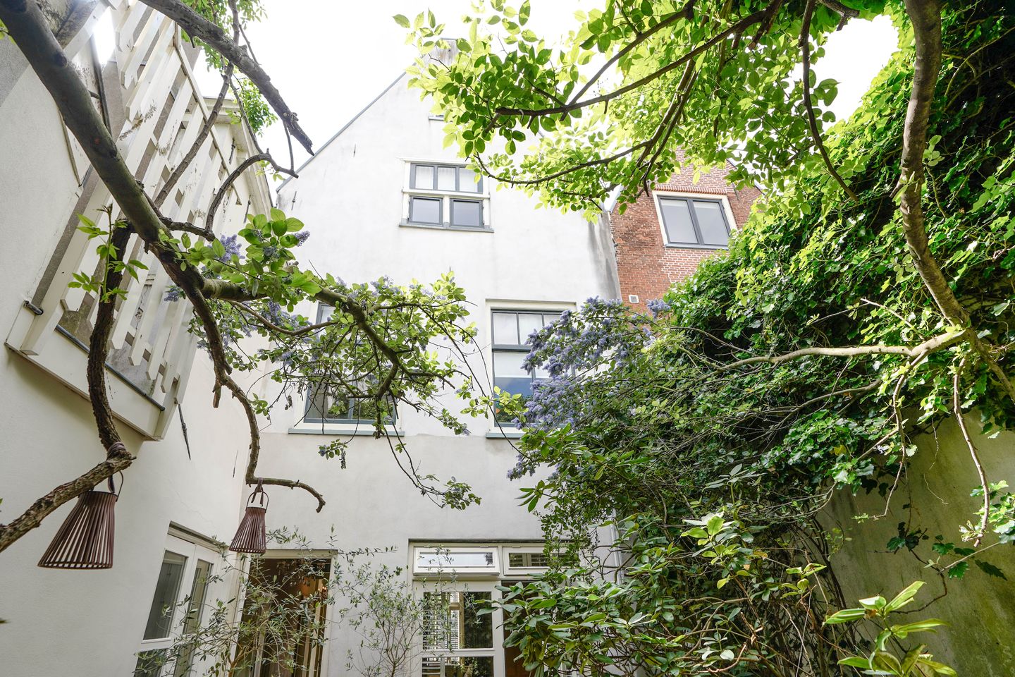 Foto 20 van Stille Rijn 16