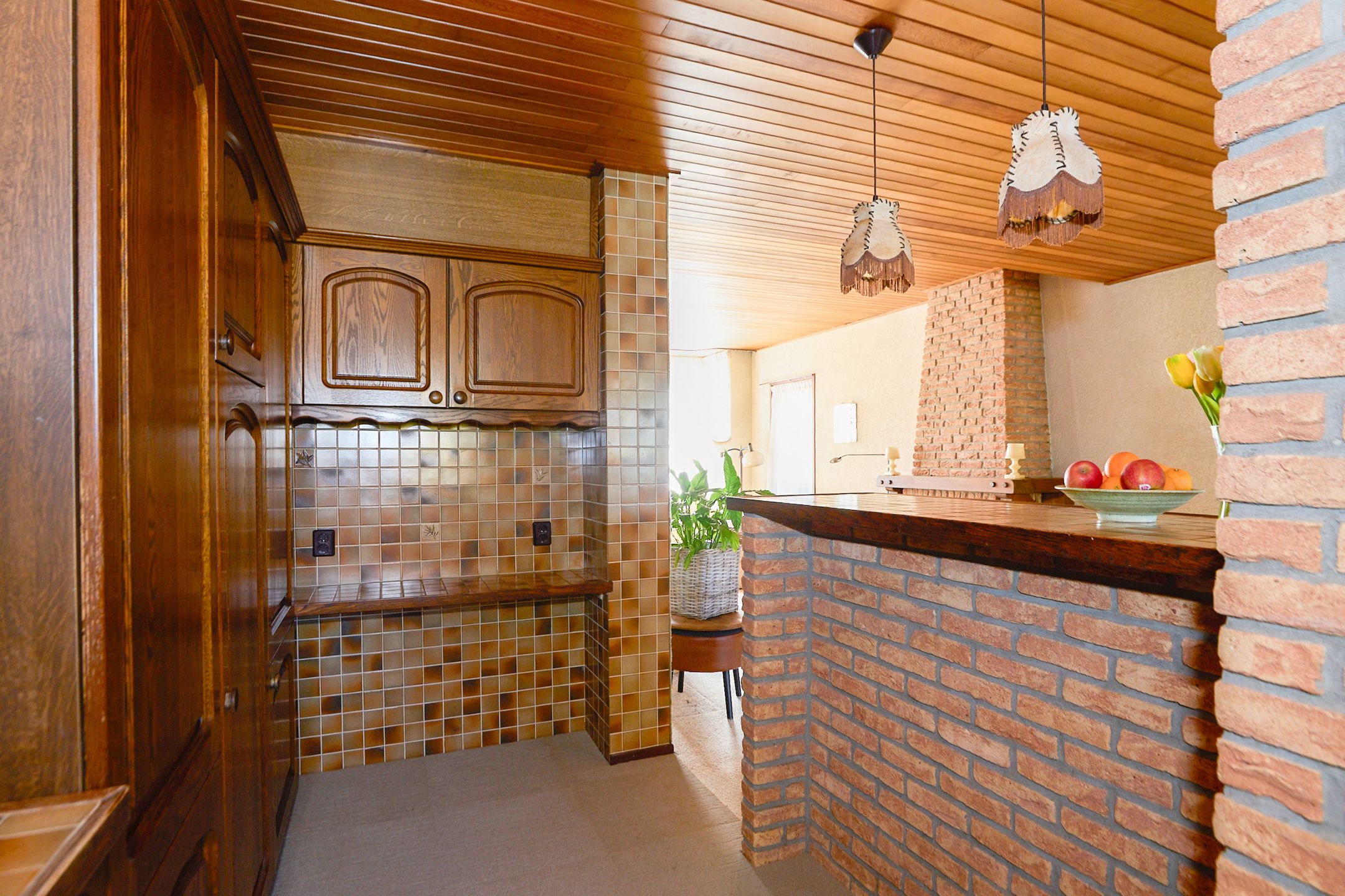 Foto 24 van Schaepmanlaan 13