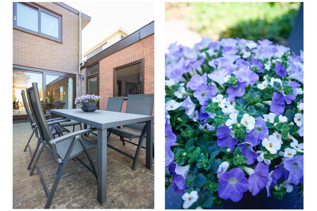 Foto 46 van Schaepmanlaan 13