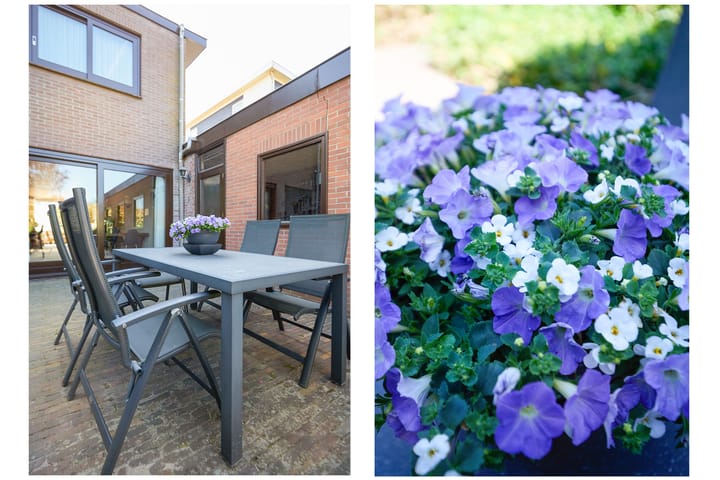 Foto 46 van Schaepmanlaan 13