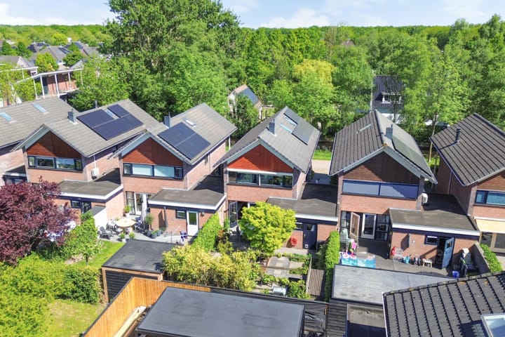 Foto 52 van Zaailand 82