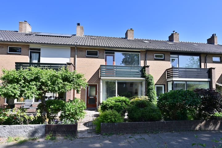 Lijzij 51