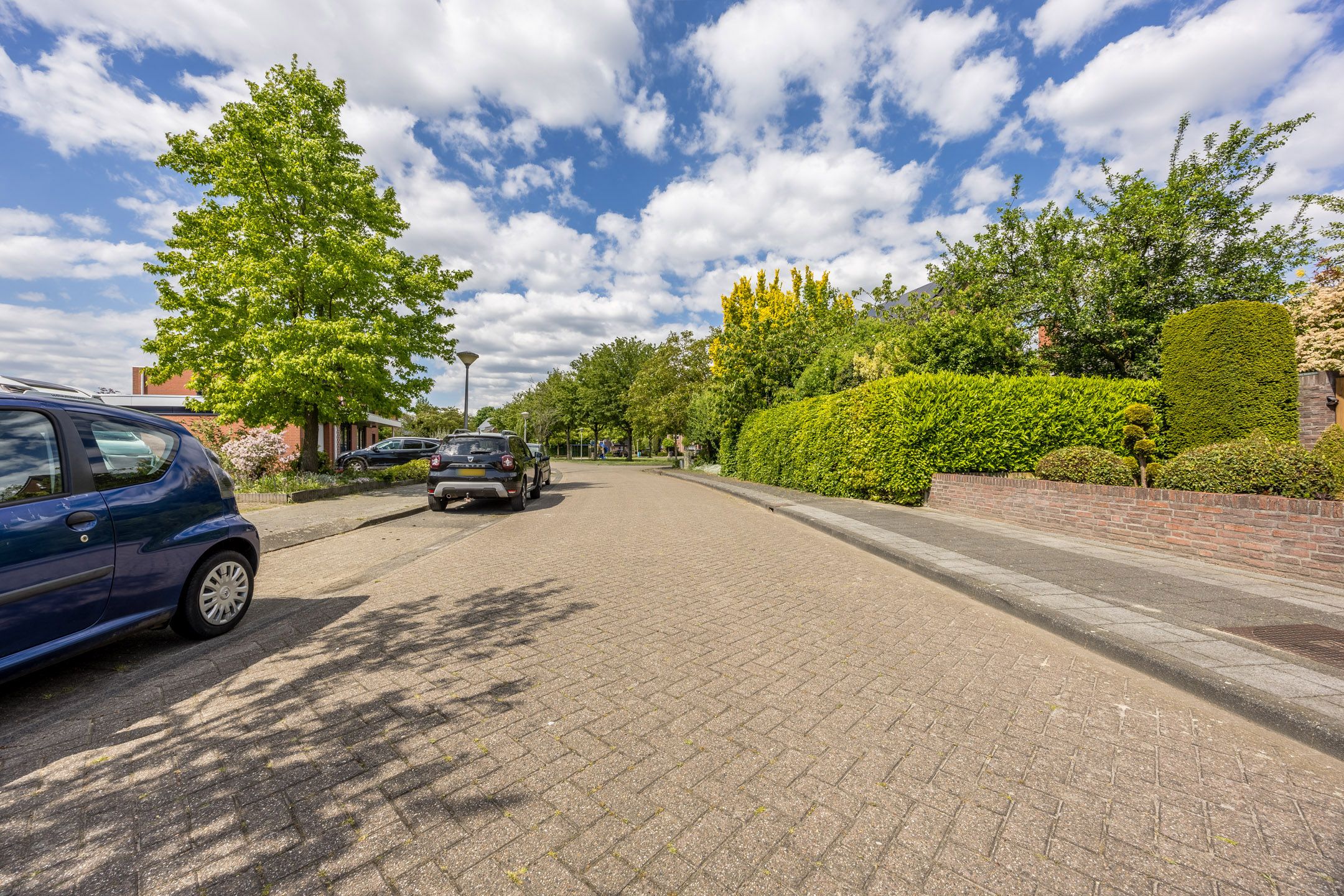 Foto 48 van Eeuwig Licht 26