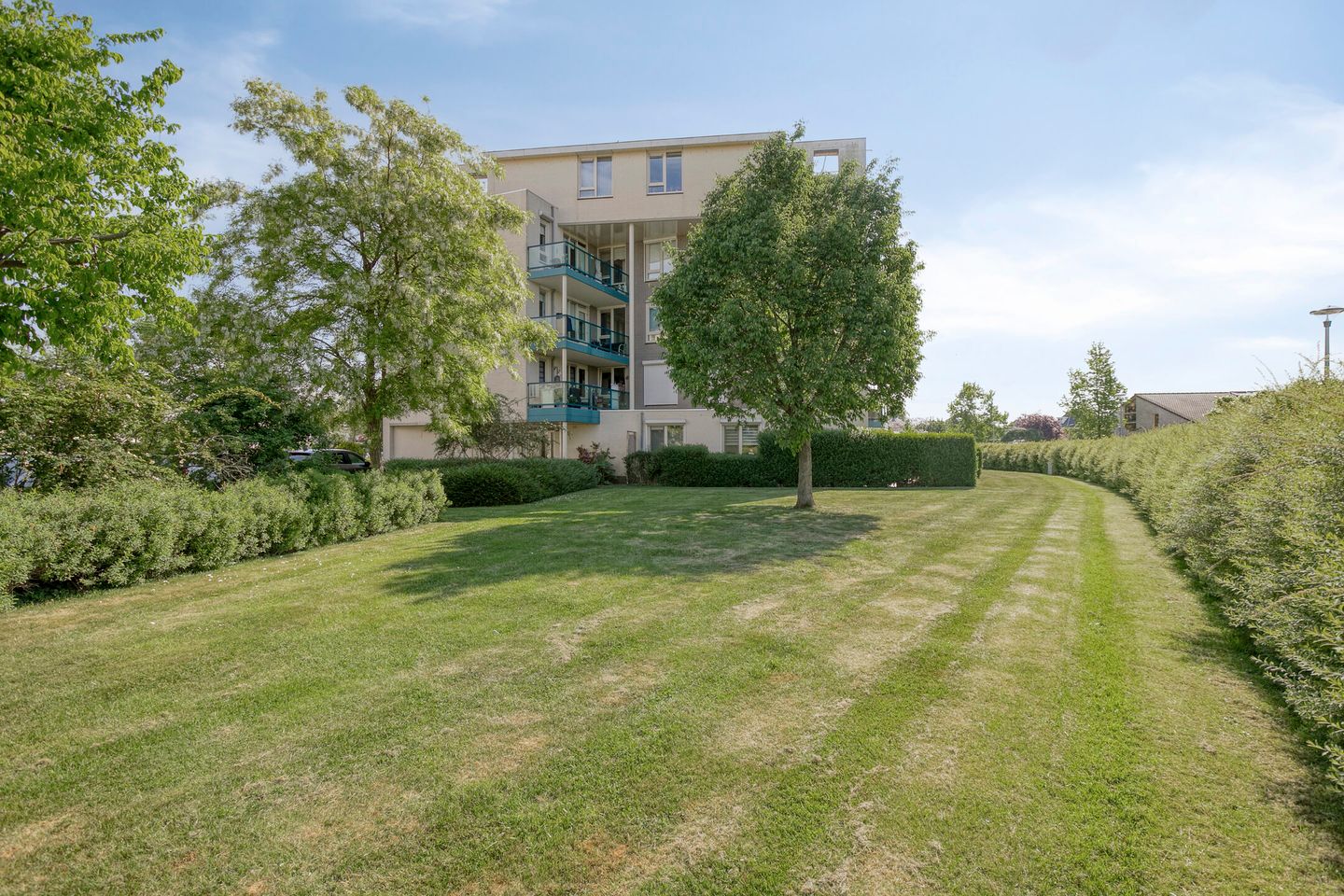 Foto 4 van Vlierbes 22