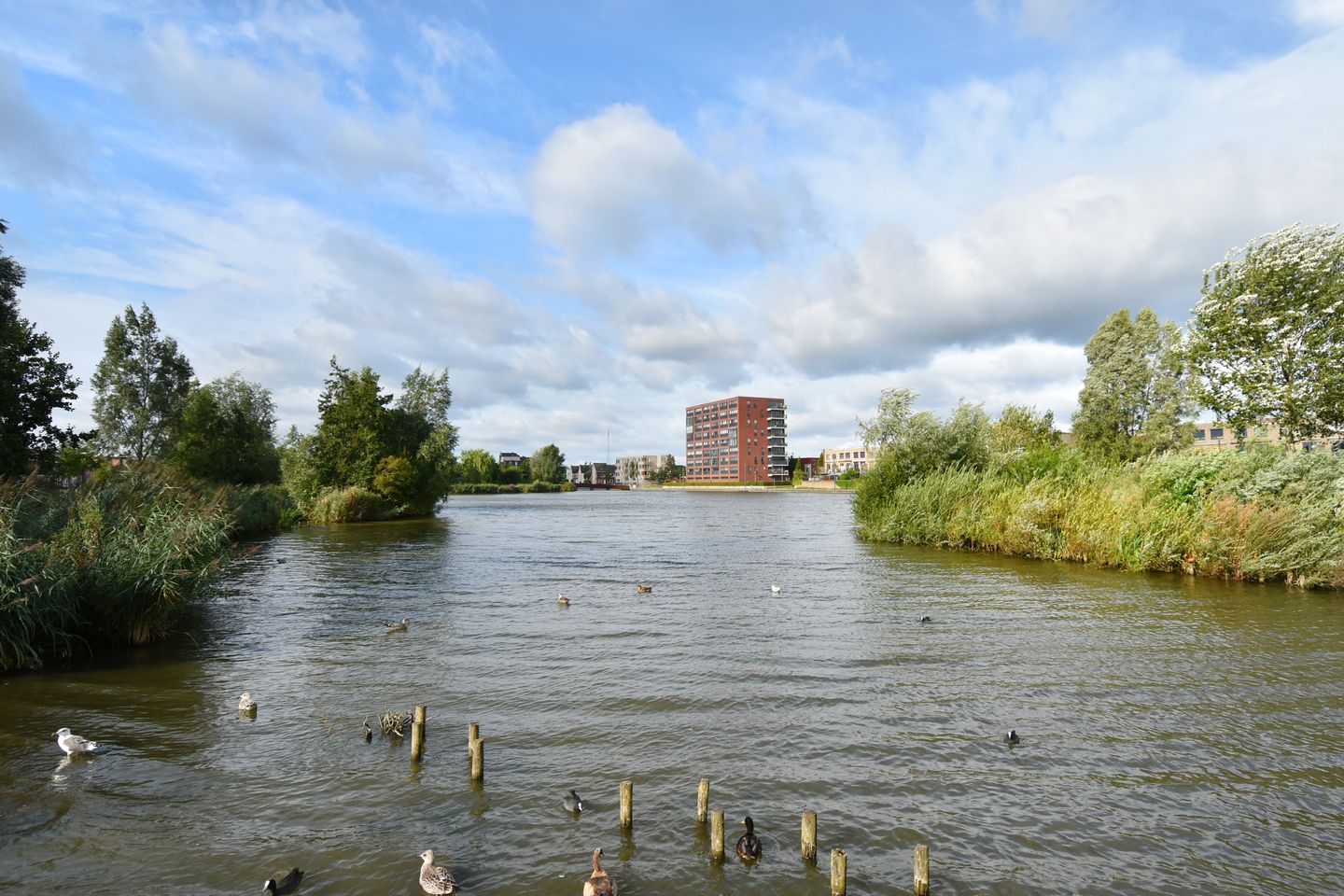 Foto 10 van Florence Nightingalelaan 18