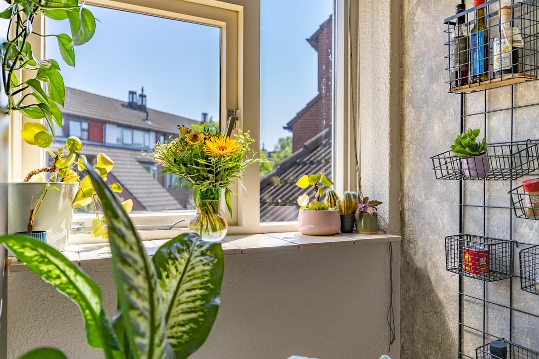 Photo 11 of Mondriaan 42