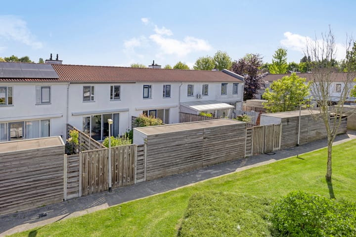 Foto 33 van Peter van Anrooystraat 18