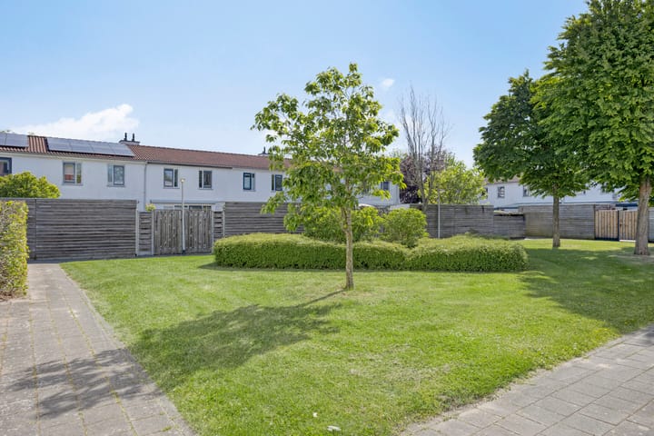 Foto 34 van Peter van Anrooystraat 18