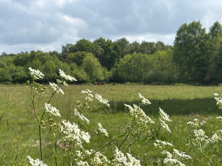 Foto 57 van Keppelseweg 110