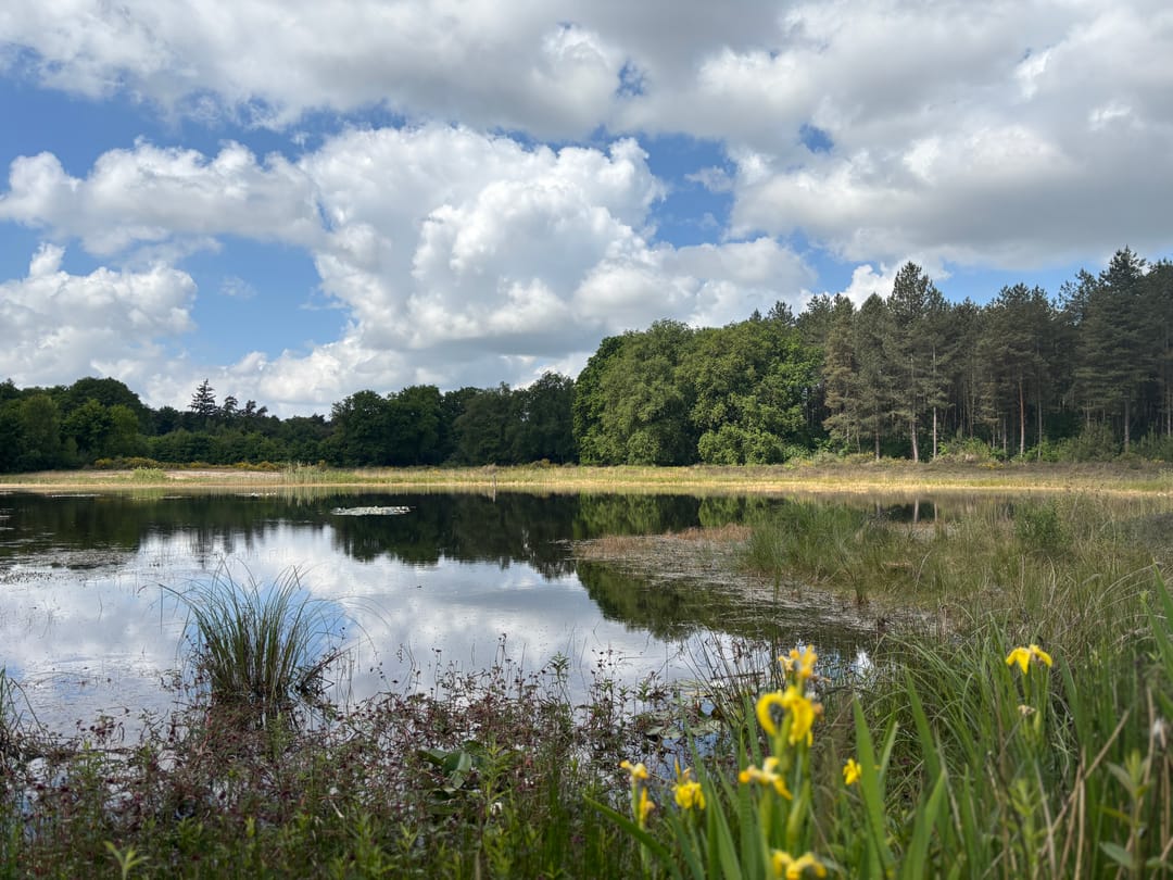 Foto 58 van Keppelseweg 110