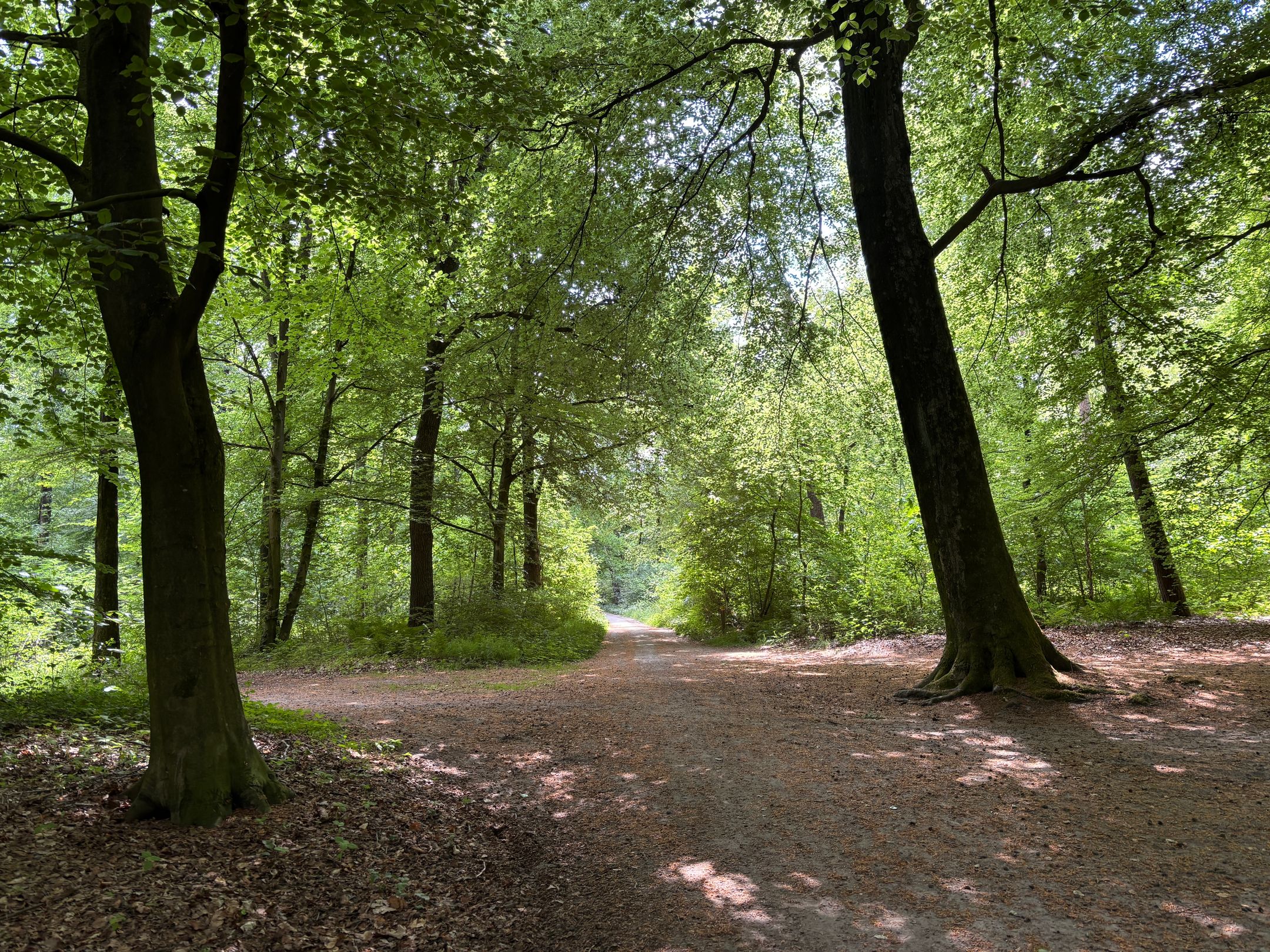 Foto 60 van Keppelseweg 110