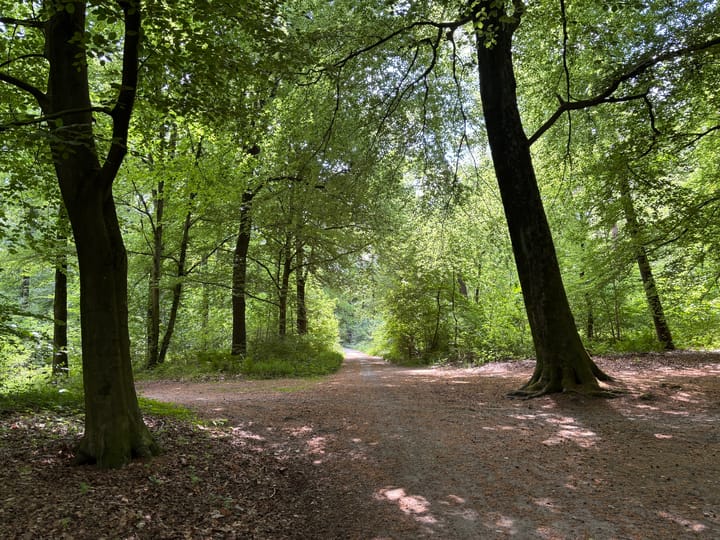 Foto 60 van Keppelseweg 110