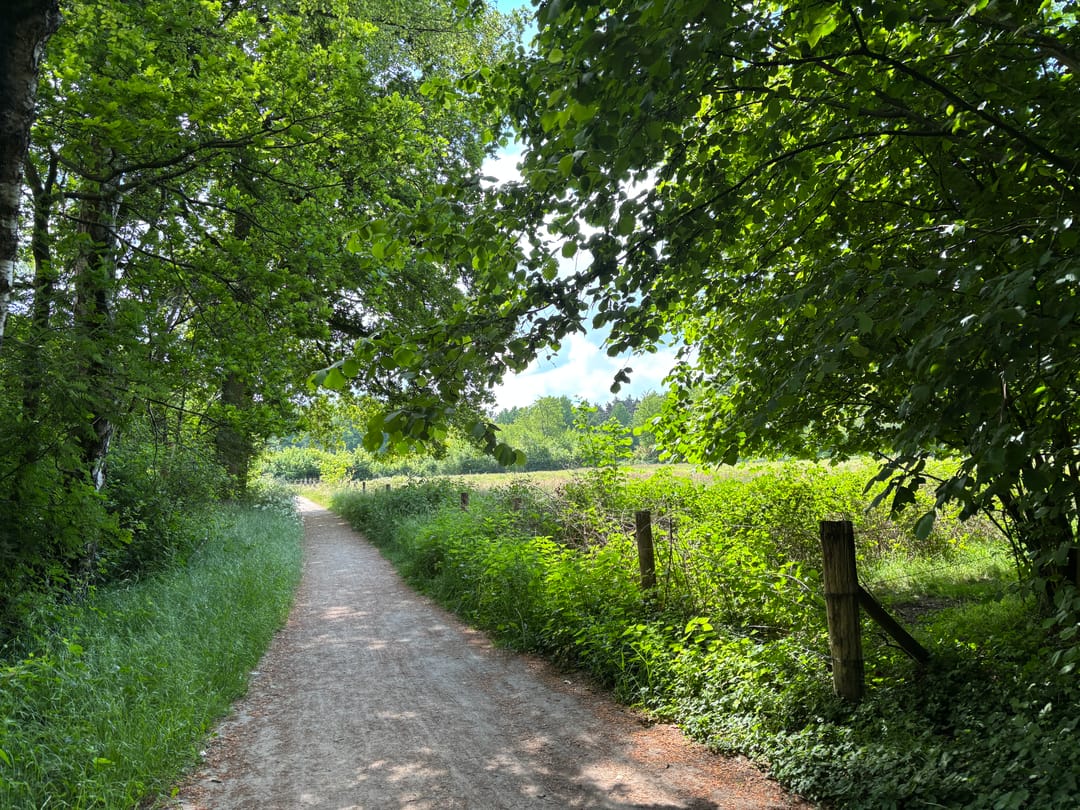 Foto 62 van Keppelseweg 110