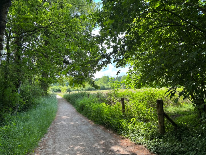 Foto 62 van Keppelseweg 110